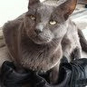 Meet your Posher, Naomi